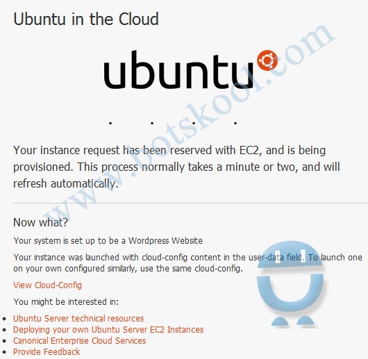 Ubuntu in the cloud 