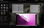 ubuntu 10.10 gnome shell mutter effects screenshots