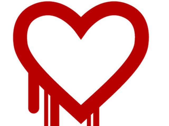 The HeartBleed Bug